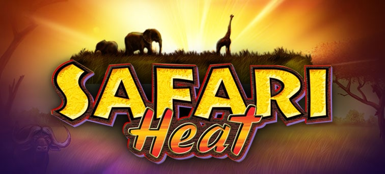 918kiss-safari-heat